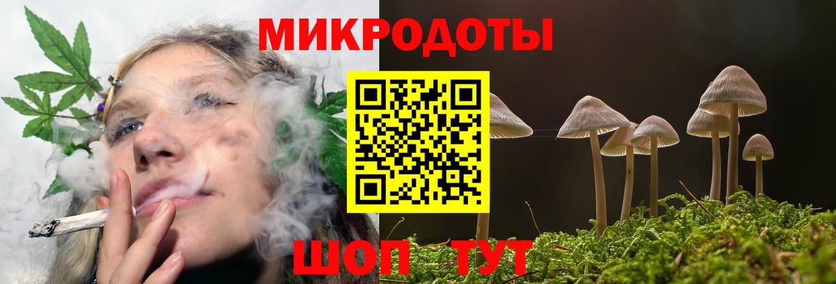 Донской  закладка  Вход с VPN  Галлюциногенные грибы прущие грибы 